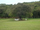 Sede Campestre-3